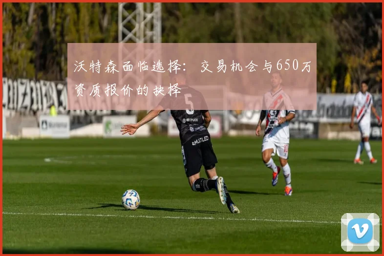 沃特森面临选择:交易机会与650万资质报价的抉择