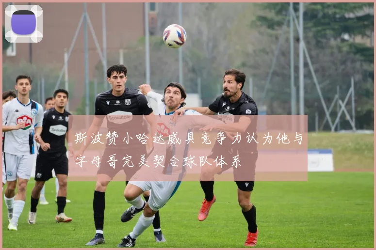 斯波赞小哈达威具竞争力认为他与字母哥完美契合球队体系