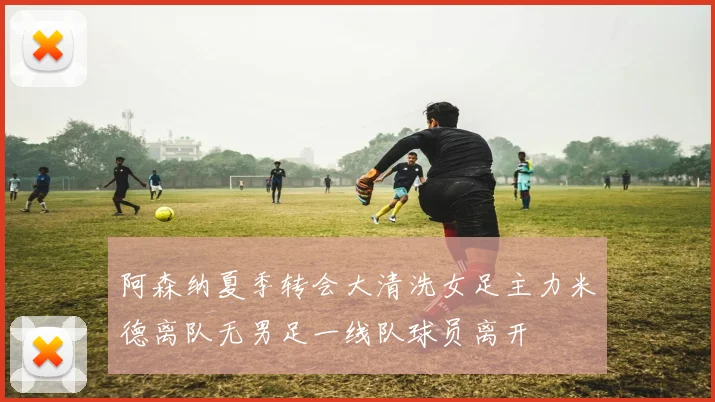 阿森纳夏季转会大清洗女足主力米德离队无男足一线队球员离开